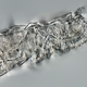 Close-up view of the revived rotifer.